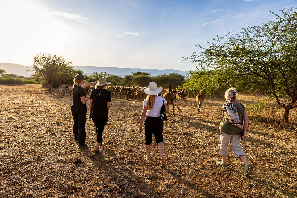 Walking with the Maasai cattle at Shompole Wilderness